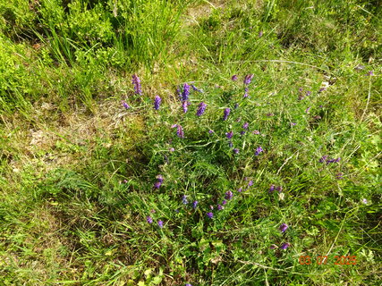 FOTKA - Kr�sa krkono�sk� p��rody