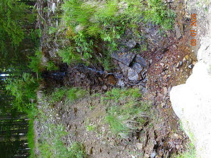 FOTKA - Kr�sa krkono�sk� p��rody