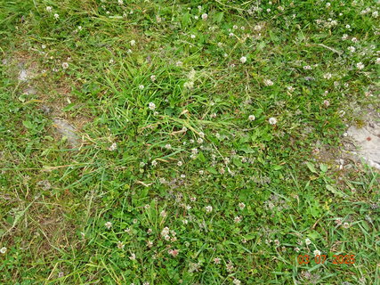 FOTKA - Kr�sa krkono�sk� p��rody