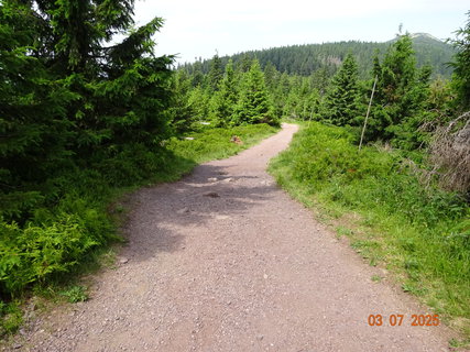 FOTKA - Kr�sa krkono�sk� p��rody