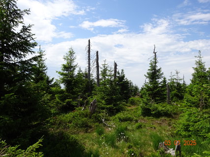 FOTKA - Kr�sa krkono�sk� p��rody