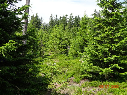 FOTKA - Kr�sa krkono�sk� p��rody