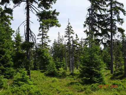 FOTKA - Kr�sa krkono�sk� p��rody