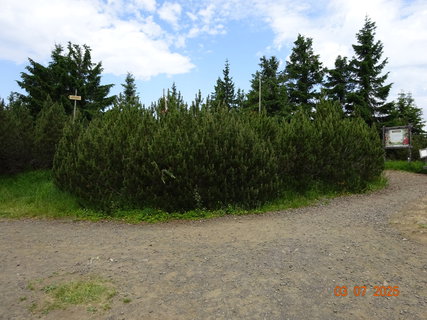 FOTKA - Kr�sa krkono�sk� p��rody