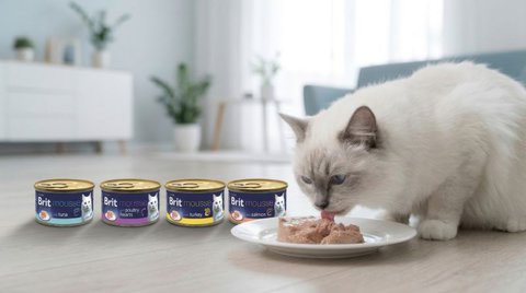 FOTKA - N�vod na spokojen� ko�i�� vrn�n�