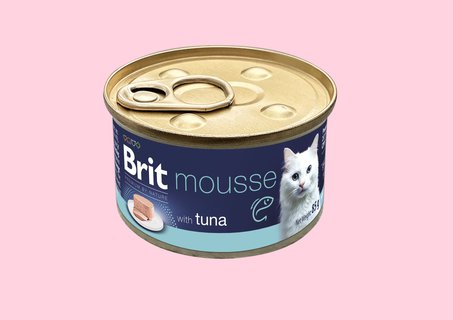 FOTKA - N�vod na spokojen� ko�i�� vrn�n�