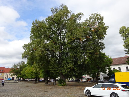 FOTKA - Proch�zka po Kou�imi