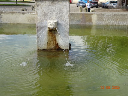 FOTKA - Proch�zka po Kou�imi