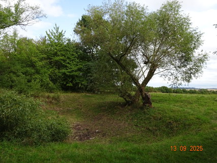 FOTKA - Nau�n� stezka Star� Kou�im