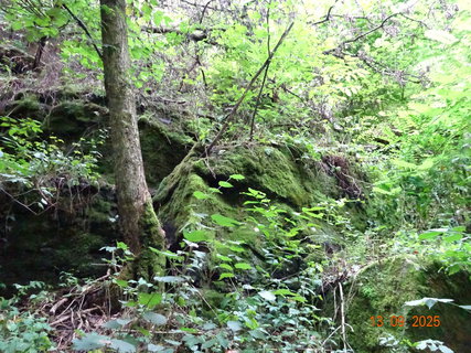 FOTKA - Nau�n� stezka Star� Kou�im