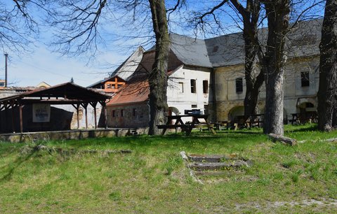 FOTKA - Dny dobrovolnictv� u n�s