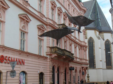 FOTKA - I tady jsme byli - Olomouc - Horn� n�m�st�