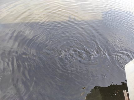 FOTKA - Se�sk� p�ehrada a z��cenina hradu Oheb