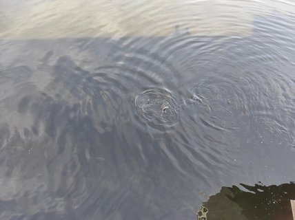 FOTKA - Se�sk� p�ehrada a z��cenina hradu Oheb