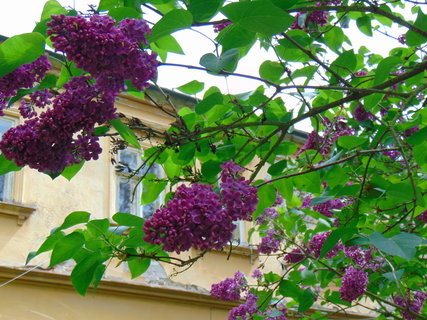 FOTKA - I tady jsme byli - Arboretum B�l� Lhota