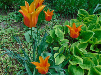 FOTKA - I tady jsme byli - Arboretum B�l� Lhota