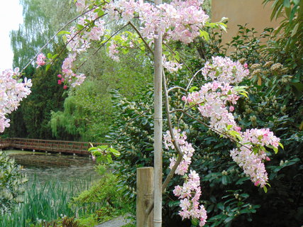 FOTKA - I tady jsme byli - Arboretum B�l� Lhota