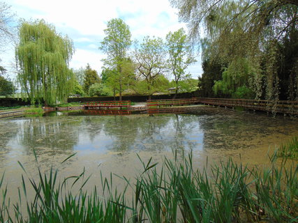 FOTKA - I tady jsme byli - Arboretum B�l� Lhota