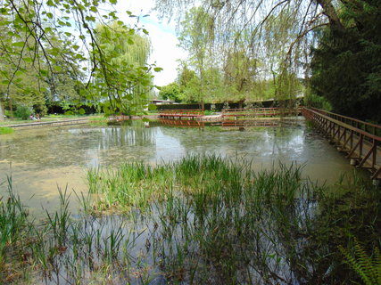 FOTKA - I tady jsme byli - Arboretum B�l� Lhota