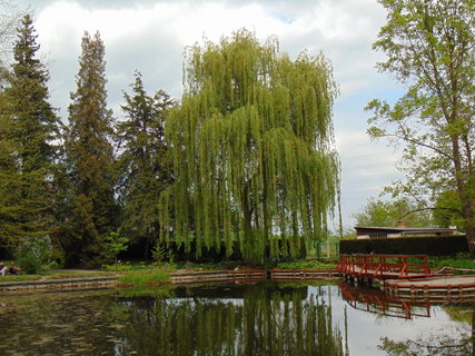 FOTKA - I tady jsme byli - Arboretum B�l� Lhota