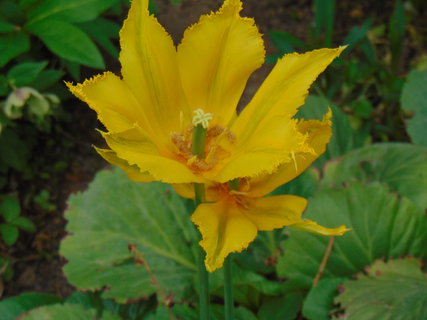 FOTKA - I tady jsme byli - Arboretum B�l� Lhota