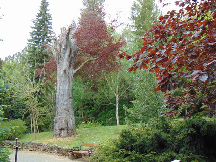 FOTKA - I tady jsme byli - Arboretum B�l� Lhota