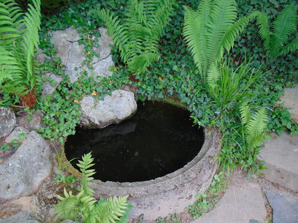 FOTKA - I tady jsme byli - Arboretum B�l� Lhota