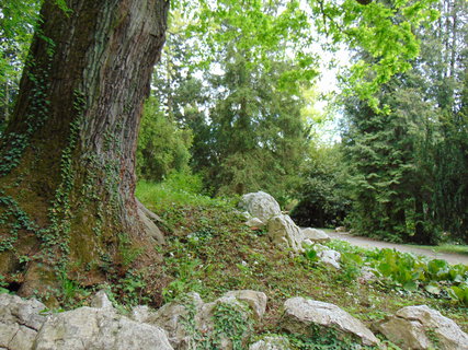 FOTKA - I tady jsme byli - Arboretum B�l� Lhota