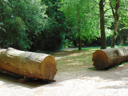 FOTKA - I tady jsme byli - Arboretum B�l� Lhota