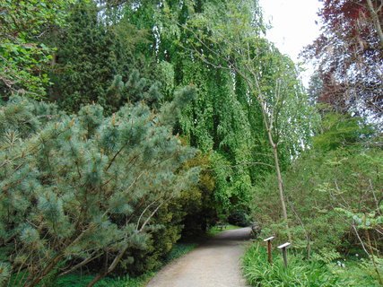 FOTKA - I tady jsme byli - Arboretum B�l� Lhota