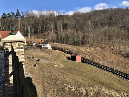 FOTKA - Hrad Svojanov