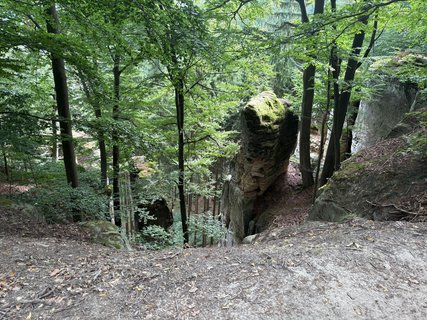 FOTKA - Nau�n� stezka Hruboskalsko v �esk�m r�ji