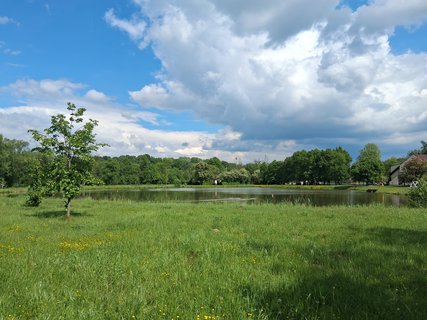 FOTKA - Dokud �iju, nezreziv�m