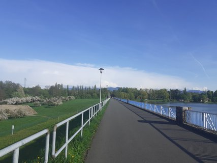 FOTKA - B�ela jsem i za Jirku
