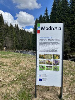 FOTKA - Nau�n� stezka Modrava � Hradlov� most
