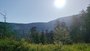 Bor�vkov�