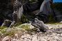 Nová kolekce Columbia Peakfreak OutDry přináší turistickou obuv pro každé dobrodružství Nová kolekce Columbia Peakfreak OutDry přináší turistickou obuv pro každé dobrodružství