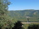 Ohlédnutí za dovolenou - Motovun Ohlédnutí za dovolenou - Motovun