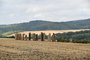 Bukovany a Ostrov�nky na ji�n� Morav�
