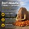 Halloween v botanick� zahrad� v Troji zavede n�v�t�vn�ky do prav�ku