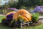 Halloween v botanick� zahrad� v Troji zavede n�v�t�vn�ky do prav�ku