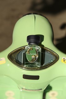 FOTKA - Dv� v�n�, dv� n�lady. Kter� bude von�t va�emu l�tu?