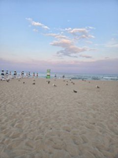 FOTKA - Bulharsko Varna Albena � p��jemn� m�sto k odpo�inku