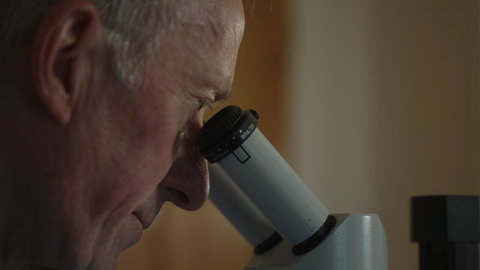 FOTKA - Unik�tn� dokumenty na Prima ZOOM pro 35. t�den
