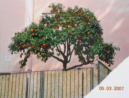 FOTKA - Proch�zka po ��m�