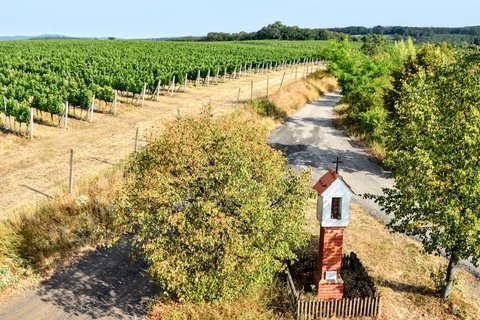 FOTKA - Ji�n� Morava, rozhledny