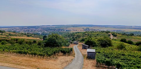 FOTKA - Ji�n� Morava, rozhledny