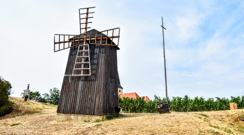 FOTKA - Vrbice na ji�n� Morav�