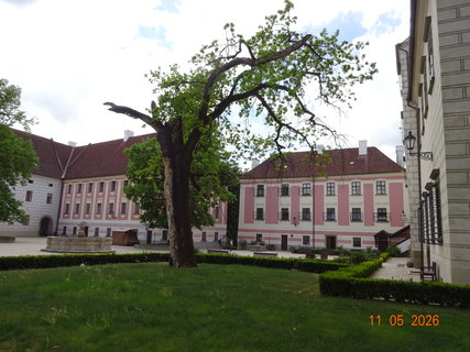 FOTKA - Proch�zka po T�eboni