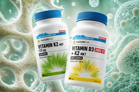 FOTKA - Podce�ovan� vitamin K2�je kl��em k�odoln�m kostem
